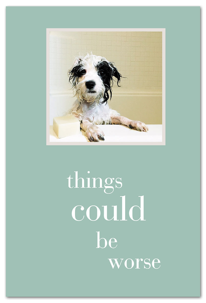 Pup in Tub card