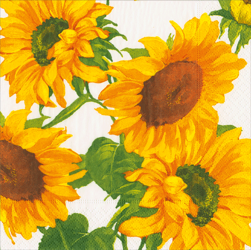 Sunflower Field Napkin Luncheon