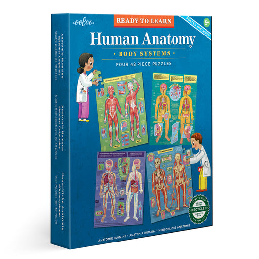 Ready to Learn - Human Anatomy 4-Puzzle 48 Piece Set