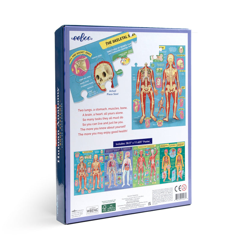 Ready to Learn - Human Anatomy 4-Puzzle 48 Piece Set