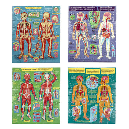 Ready to Learn - Human Anatomy 4-Puzzle 48 Piece Set