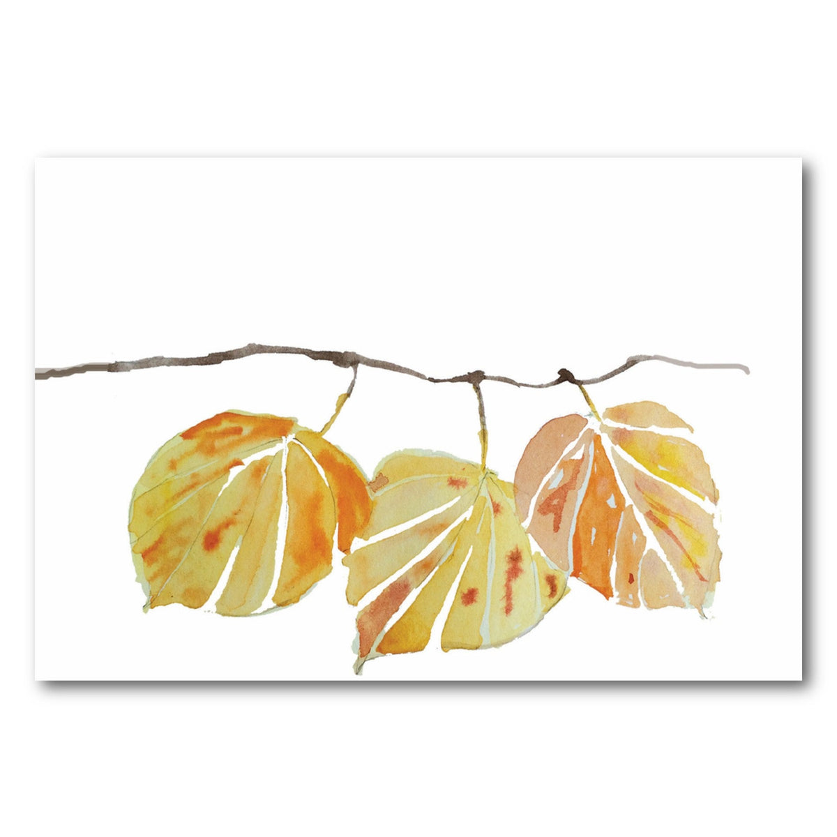 Aspen leaf Note Card