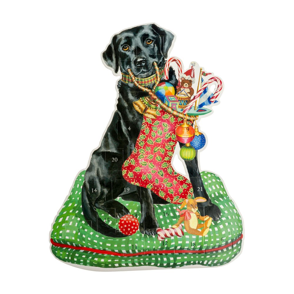 Christmas Lab Advent Calendar