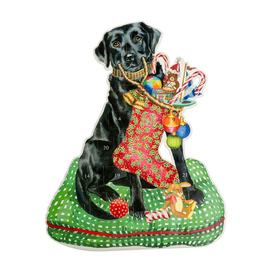 Christmas Lab Advent Calendar