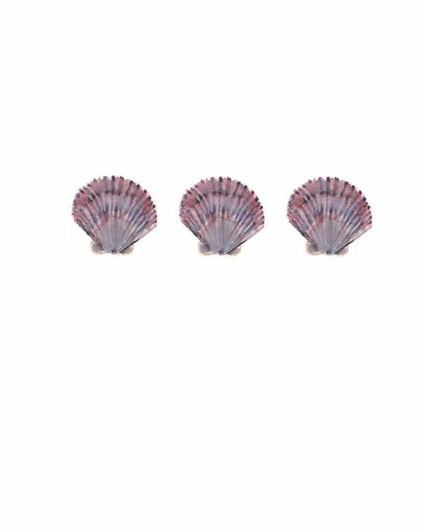 Bay Scallops Notecards
