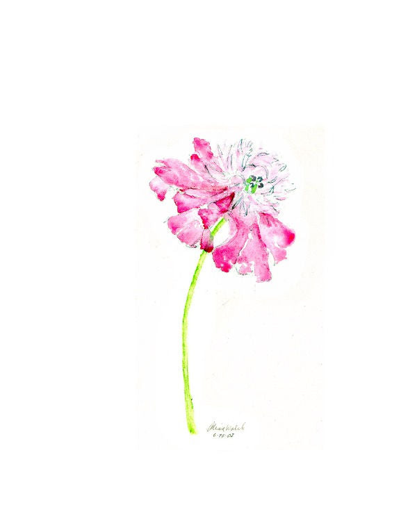 Peony