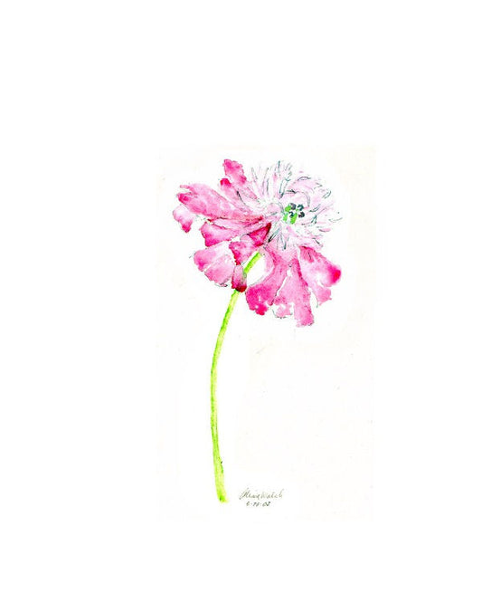 Peony