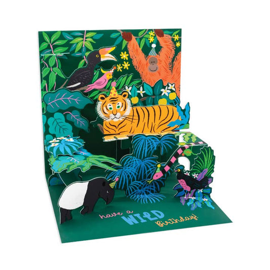 Tropical Forest Pop Up