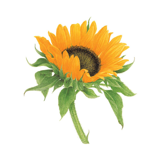 Sunflower Tattoo Pair
