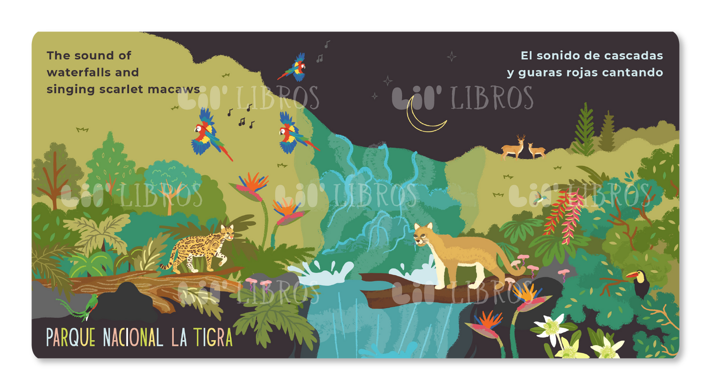 VÁMONOS: Tegucigalpa (Bilingual: English and Spanish)