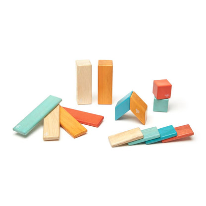 14-Piece Set Magnetic Wooden Blocks Tegu Classics