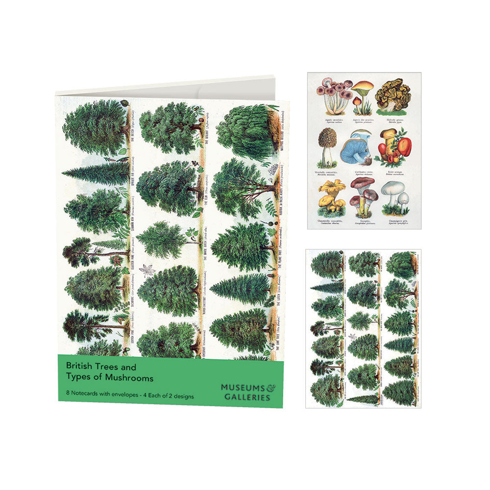 British Trees & Types of Mushrooms Rectangle Notecard Wallet