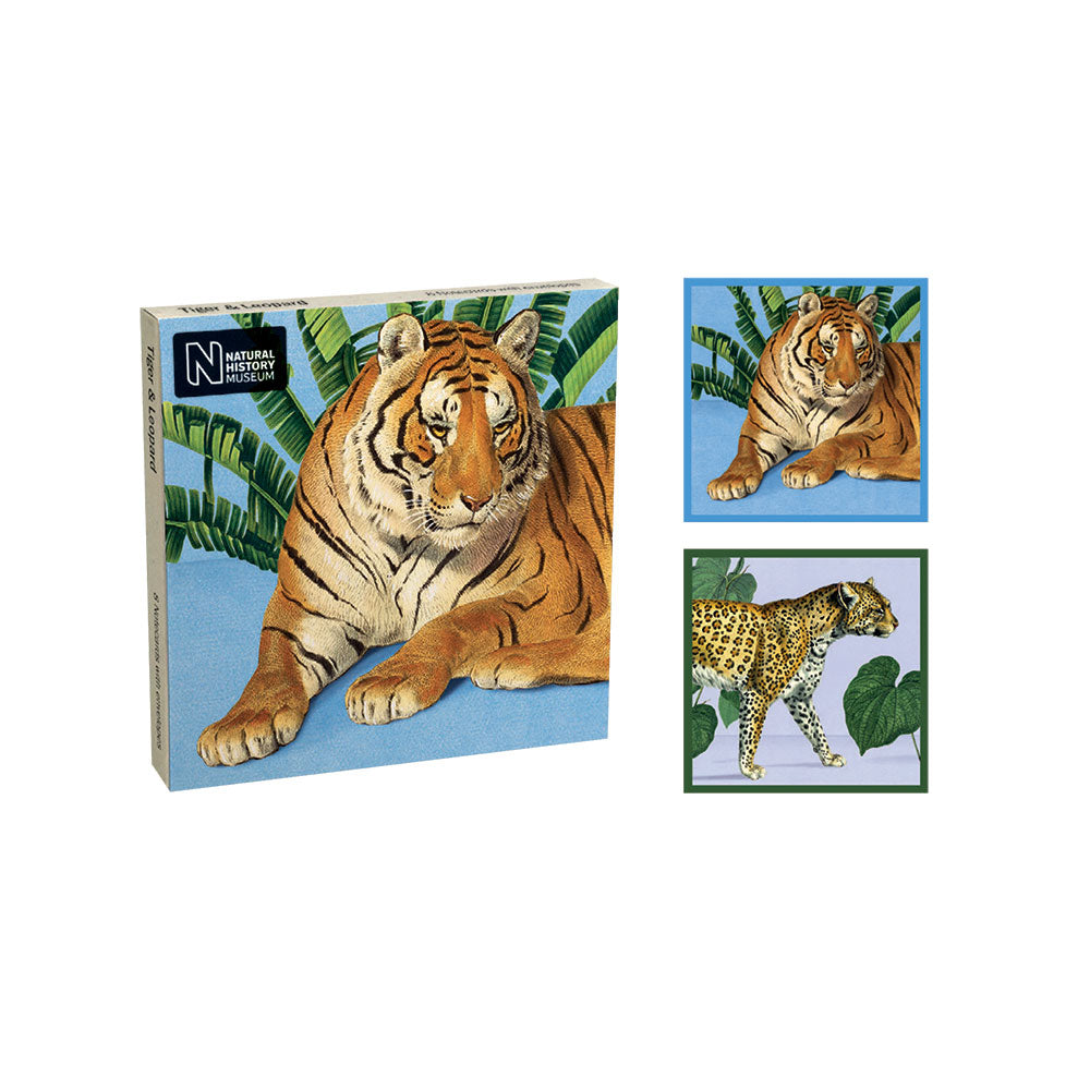 Natural History Musuem Tiger and Leopard Notecard Wallet