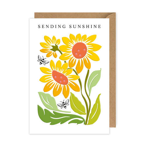Sending Sunshine Friendship Greeting Card