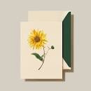 Modern Vintage Sunflower Notecards
