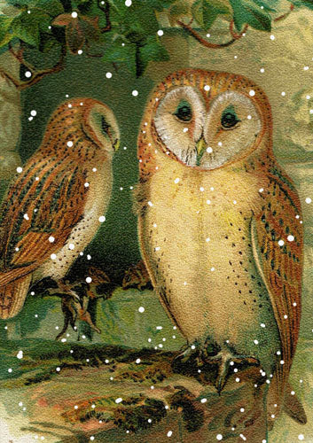 Winter Owl Greeting Card