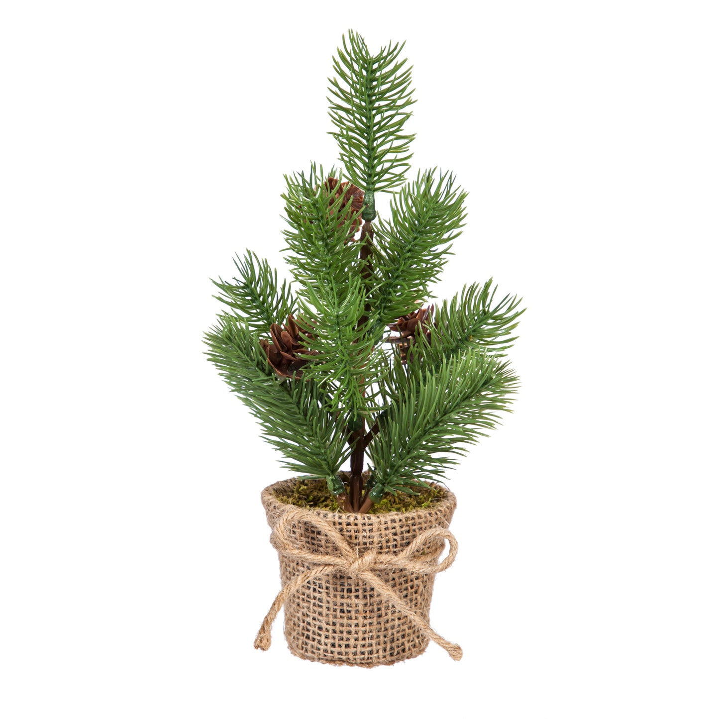 9.5" Tree with Burlap Pot