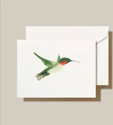 Brushstroke Hummingbird Notes
