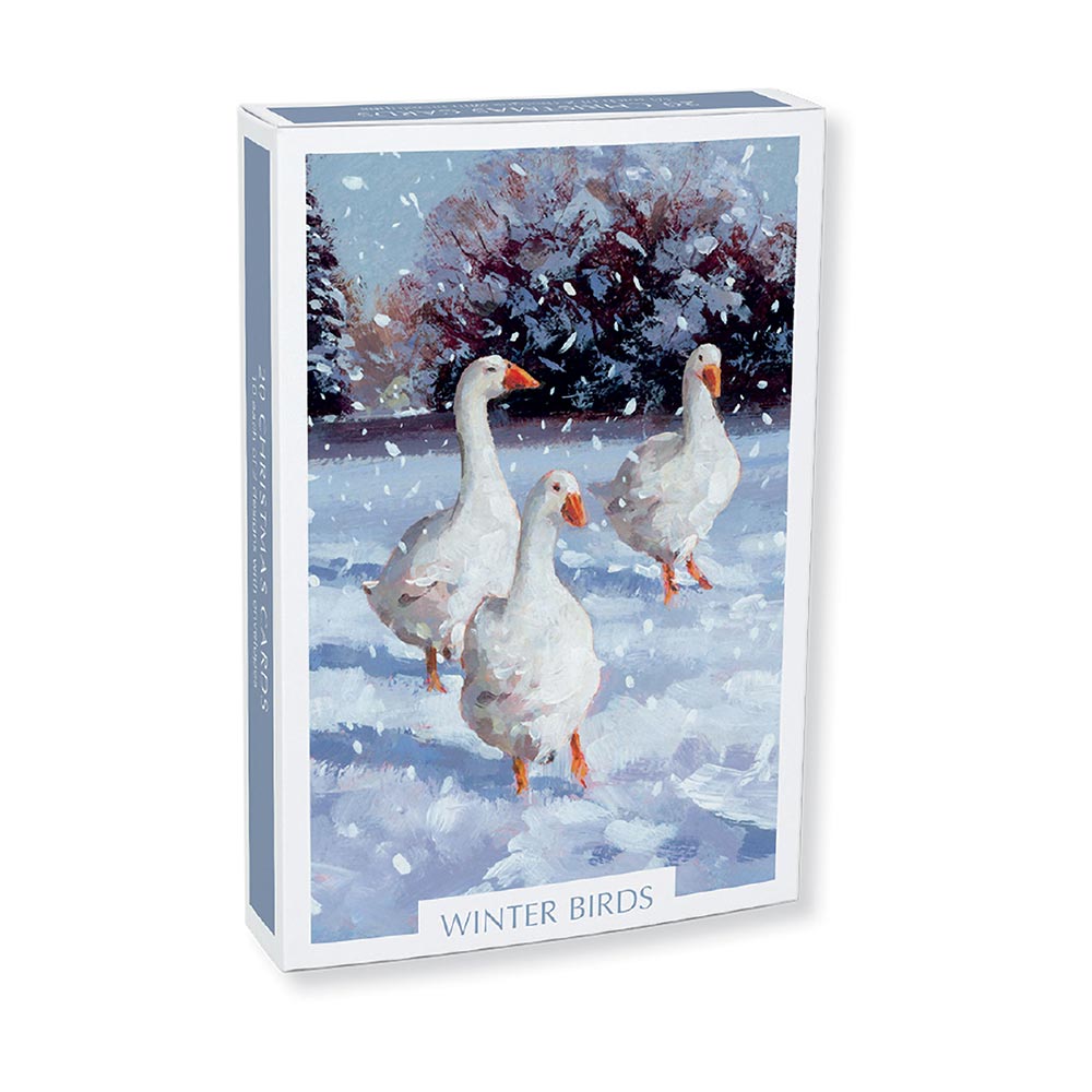 Winter Birds Christmas Theme Pack