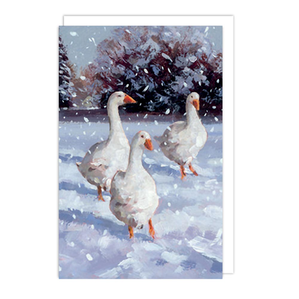 Winter Birds Christmas Theme Pack