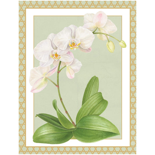 Orchid Boxed Christmas Cards