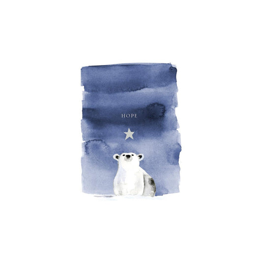 Bear and Christmas Star Boxed Cards