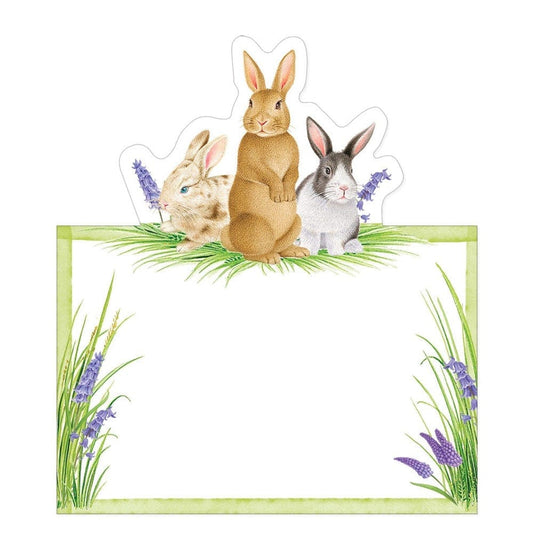 Bunnies and Daffodils Place Card